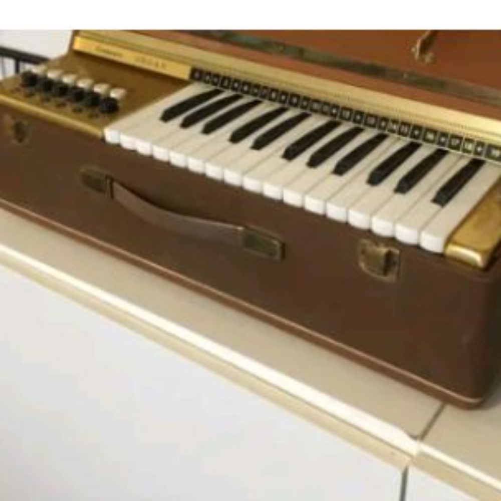 Orcoa Electric Organ